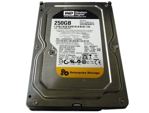 WD RE4 WD2503ABYX 250GB 7200 RPM 64MB SATA 3.0Gb/s 3.5" Drive